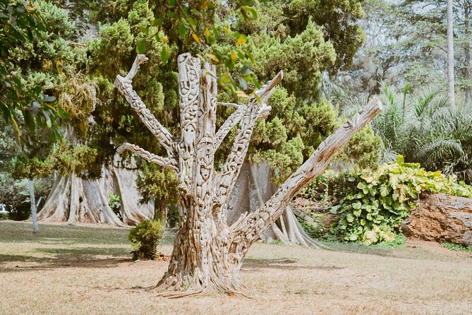 Explore Aburi Botanical Gardens And Boti Falls - Who will enjoy this day most?