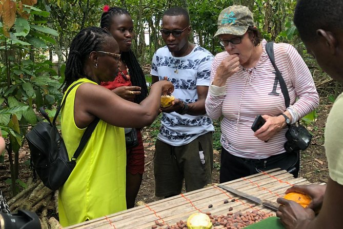 Ghana Eastern Explorer - Boti Falls, Aburi Gardens & Tetther Quarshie Cocoa Farm - Why this eastern Ghana day trip works