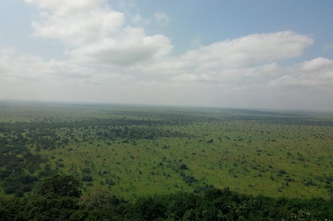 Half-day Accra Safari Tour - Two guides, two kinds of information