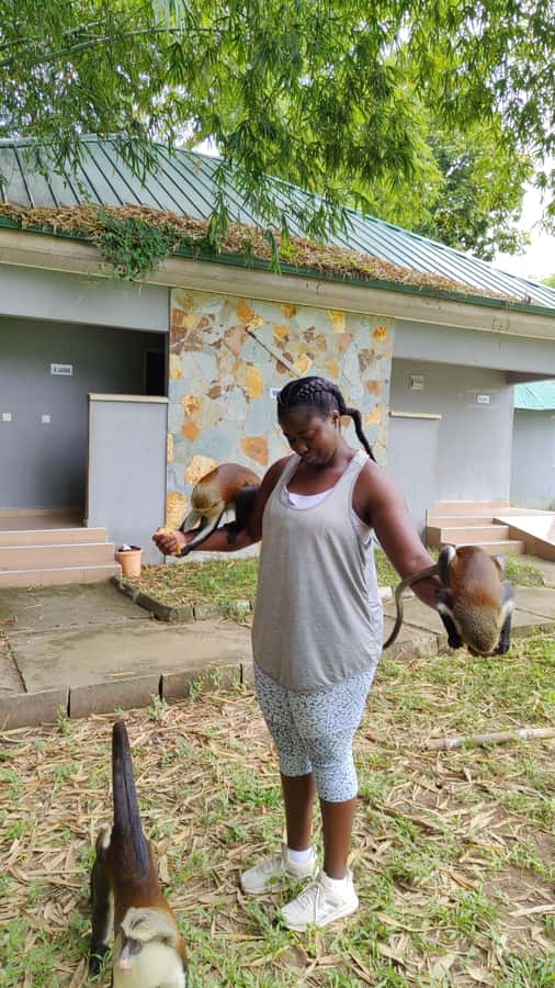 Hike Mount Afadjato and Visit Wli Falls and Monkey Sanctuary - Why this Volta Region day trip works