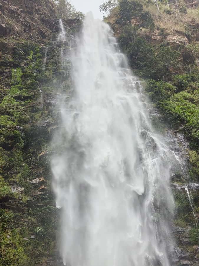 Hike Mount Afadjato and Visit Wli Falls and Monkey Sanctuary - Who should book this experience