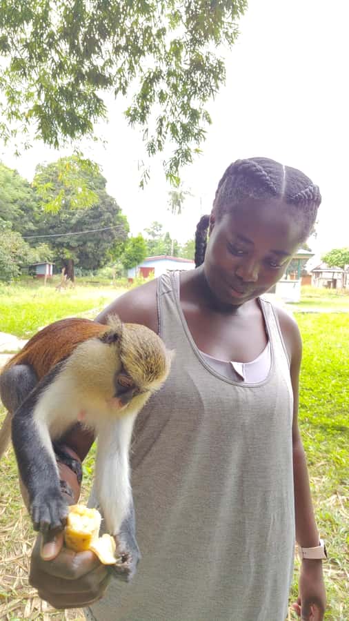 Hike Mount Afadjato and Visit Wli Falls and Monkey Sanctuary - Practical advice before you go