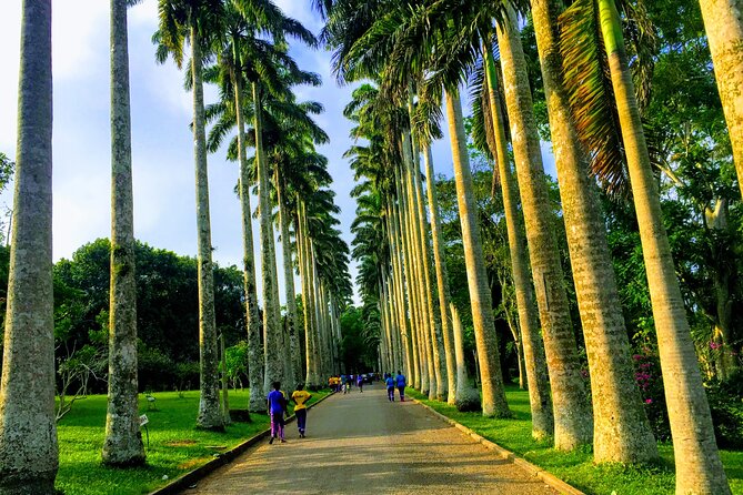 Nature Thrills - Key points to know before booking