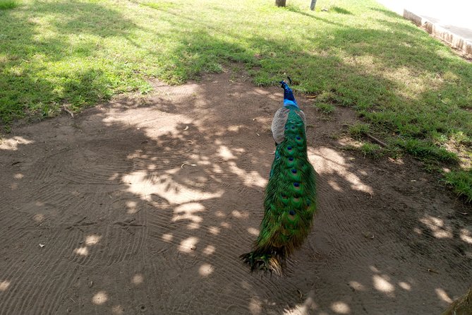 Nature Thrills - Why this Accra day trip works