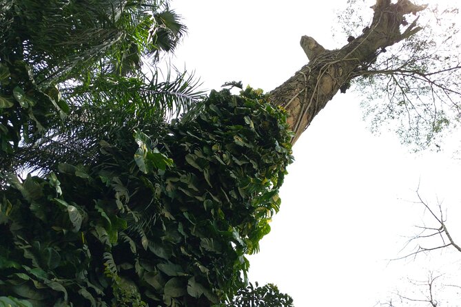 Nature Thrills - What $150 includes, and what it does not