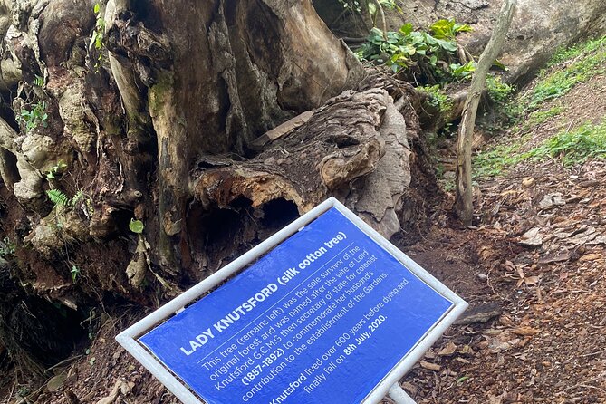 Private Aburi Hill Guided Tour - Why Aburi makes a good escape from Accra