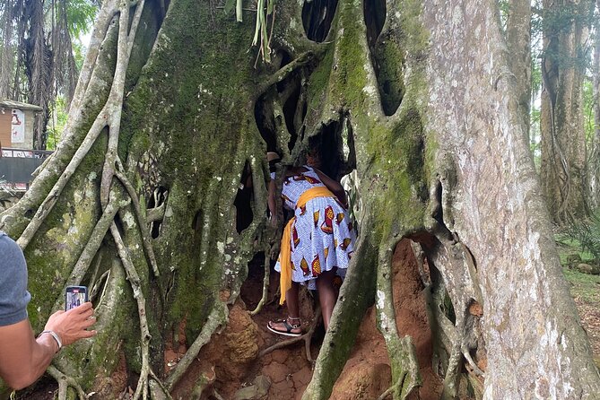 Private Aburi Hill Guided Tour - Aburi Botanical Gardens: 130 acres with a plant lesson