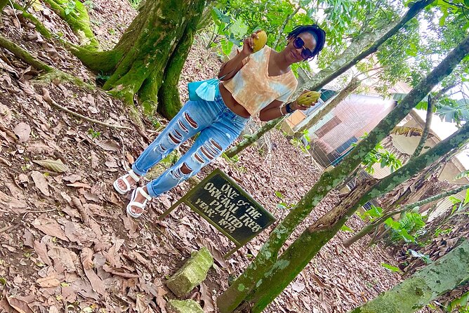 Private Aburi Hill Guided Tour - Tetteh Quashie Cocoa Farm and Ghana’s cocoa story