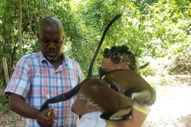 Private Full Day Culture and Nature Tour of Cape Coast - The Kakum question should be settled before you pay