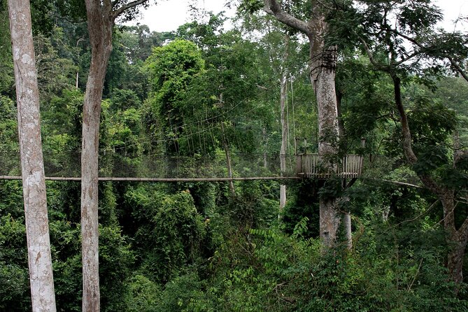 Private Multi-Day Ghana Tour about Culture History and Wildlife - 7 Days - Day five: Kumasi’s royal center and the road south