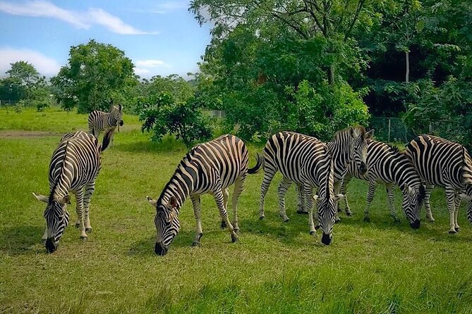 Shai Hills Half Day Accra Safari, Hike & see Animals - Key points to know before you book