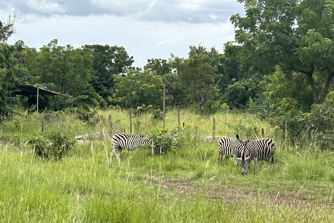 Shai Hills Safari - Hike & See Animals - Guides, photos, and the human side of the outing