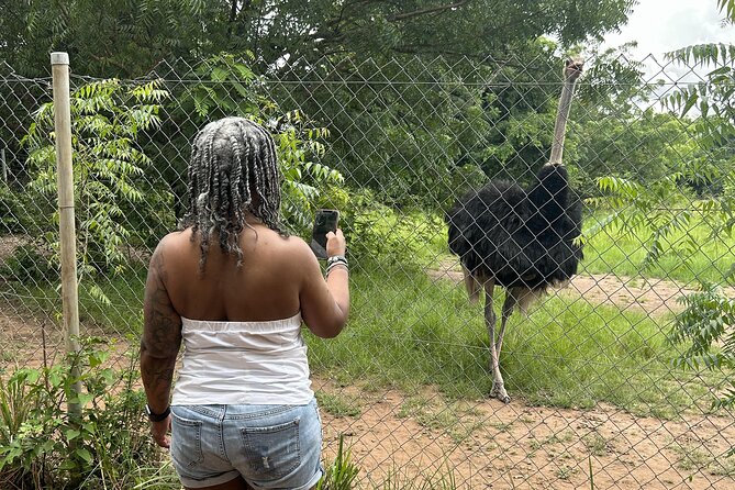 Shai Hills Safari - Hike & See Animals - Is $130 a fair price?