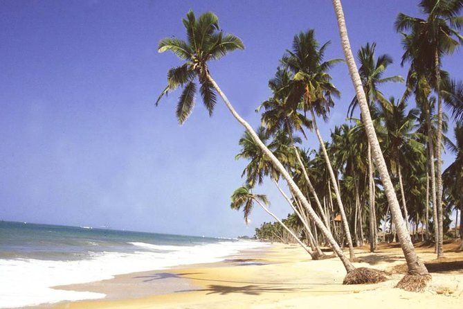 The Best Of Cape Coast Tour - Kakum National Park and its seven bridges