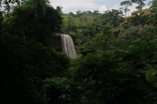 The Botanical Gardens and Water Falls Experience - Private Tour - Boti Falls and the Twin Falls View