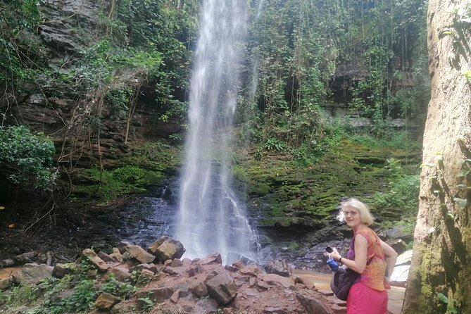 The Botanical Gardens and Water Falls Experience - Private Tour - Lunch, Drinks, and the Practical Comforts