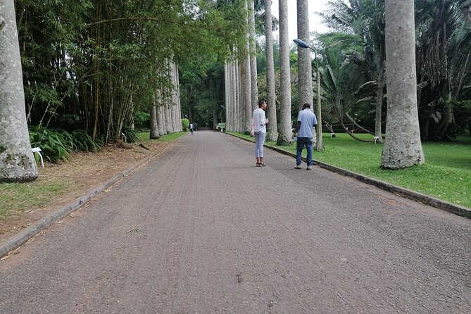 The Botanical Gardens and Water Falls Experience - Private Tour - Who Will Enjoy This Day Trip Most?